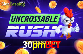 Premium Interface 30pmbet