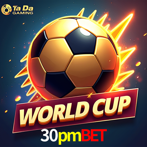 Security Systems 30pmbet